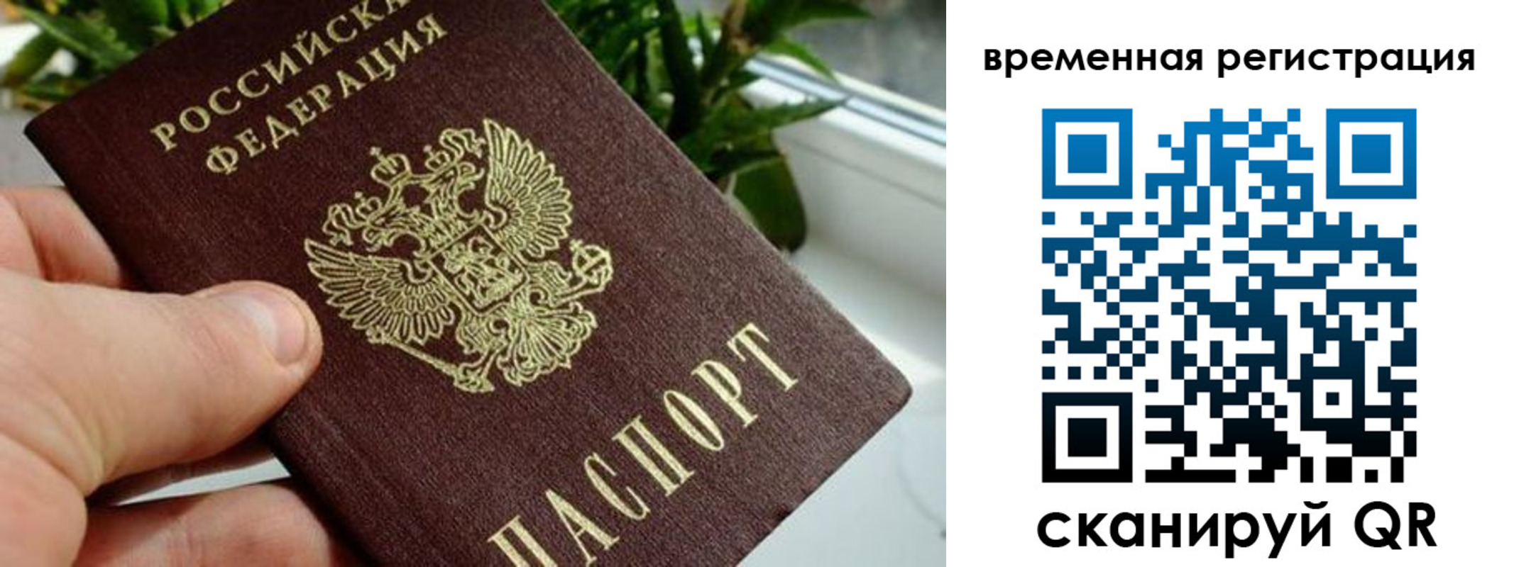 прописка поиск в Гусь-Хрустальном